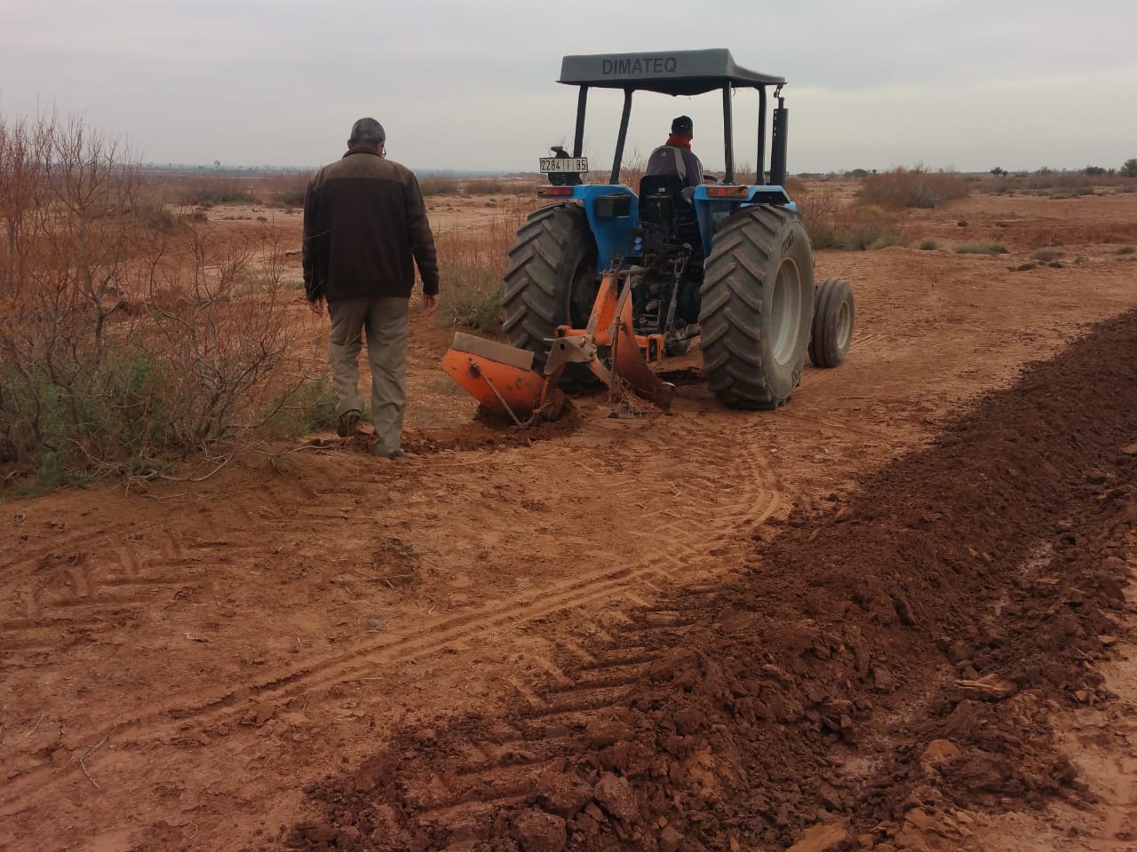 Assistance technique pour la supervision des travaux de plantation de 400 ha d’Atriplex Nummularia dans les communes rurales de la Province de Rhamna