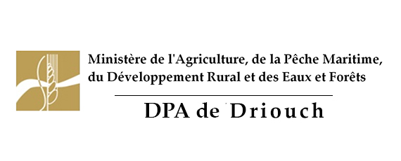 Assistance technique liée aux travaux de création et d’aménagement de point d’eau Zaouiat Sidi Abdelkader à la Commune d’Ain Zohra, Cercle Driouch, Province de Driouch.