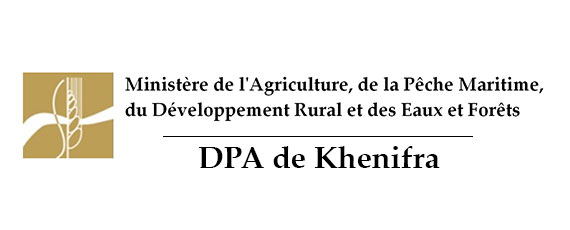 Assistance technique pour la supervision des travaux de reconversion de 340 ha de céréales de la zone bour en Olivier a Dir Beni Ayat province Azilal