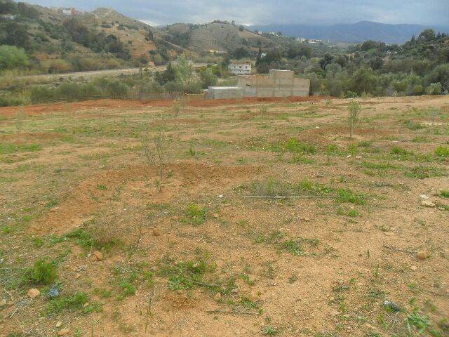 Assistance technique pour La supervision des travaux de plantation fruitière (oliviers) et l'accompagnement des groupements bénéficiaires dans la zone d'action de la DPA de Nador