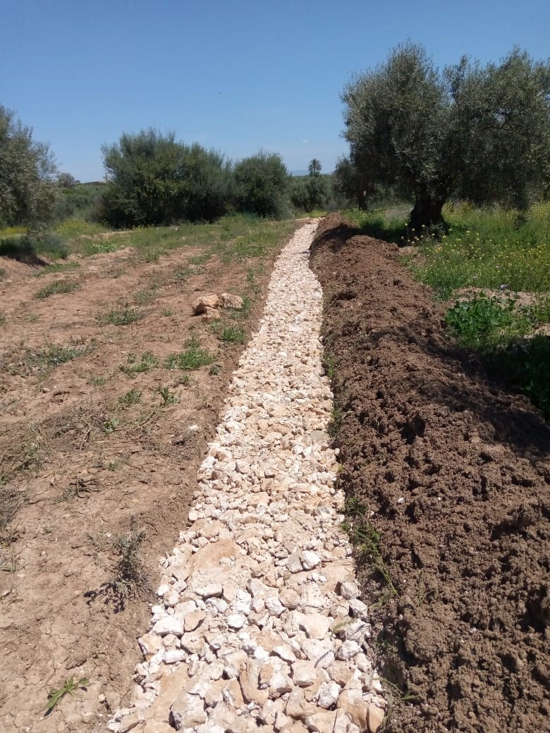 Assistance technique pour la supervision et le contrôle des travaux de réhabilitation des périmètres de Petite et Moyenne Hydraulique dans la province de Driouch 