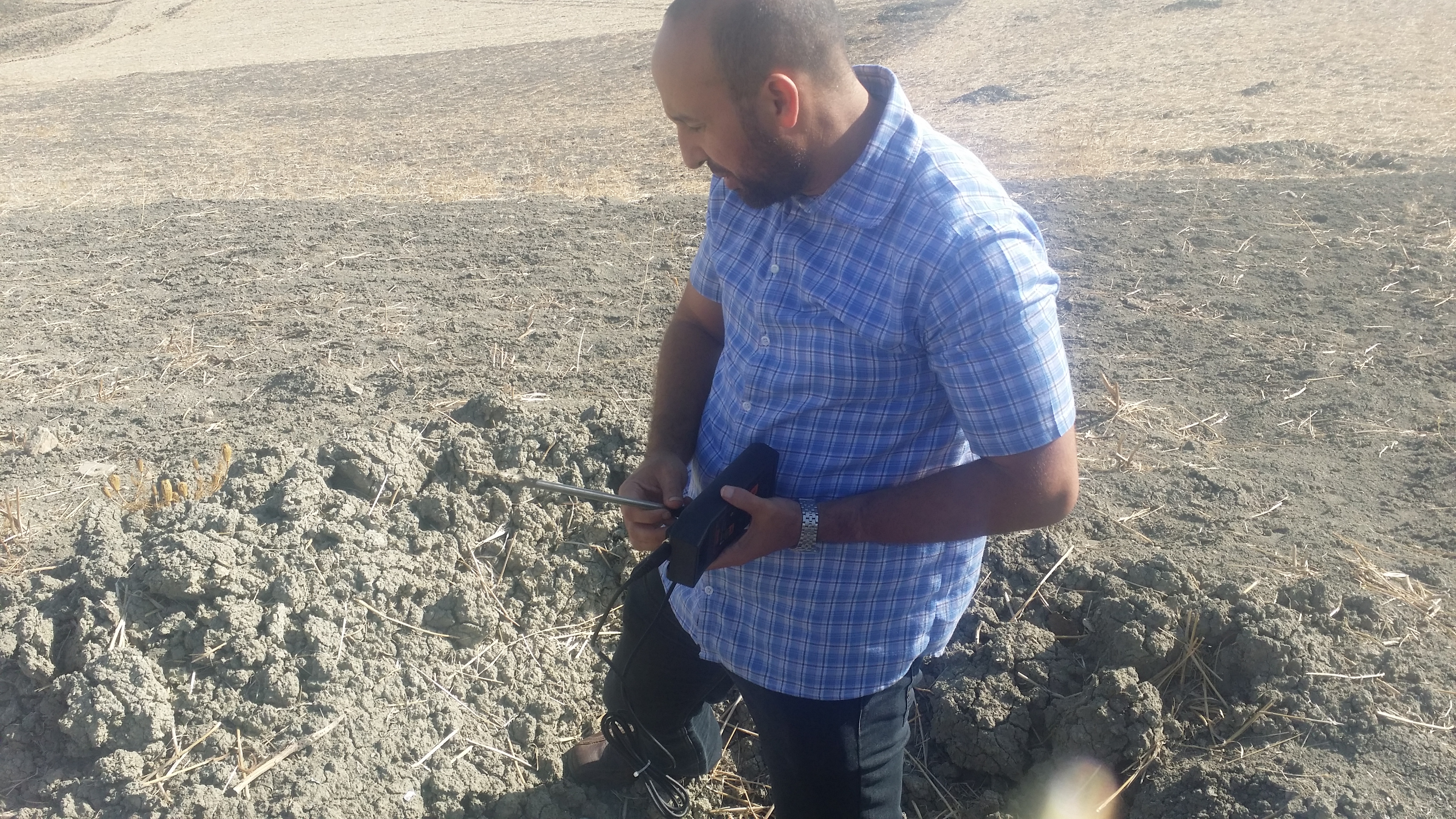 Assistance technique pour le suivi des travaux de plantation de 1700 Ha d’olivier dans la zone d’action de la DPA de Fès