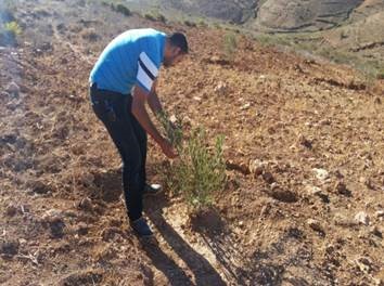 Assistance technique pour La supervision des travaux de plantation fruitière (oliviers) et l'accompagnement des groupements bénéficiaires dans la zone d'action de la DPA de Nador
