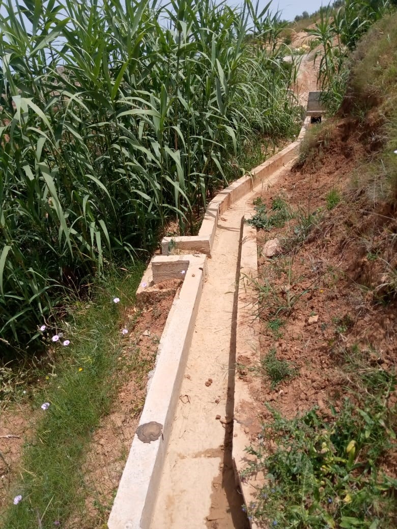 Assistance technique pour la supervision et le contrôle des travaux de réhabilitation des périmètres de Petite et Moyenne Hydraulique dans la province de Driouch 