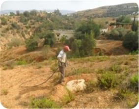 Assistance technique pour La supervision des travaux de plantation fruitière (oliviers) et l'accompagnement des groupements bénéficiaires dans la zone d'action de la DPA de Nador