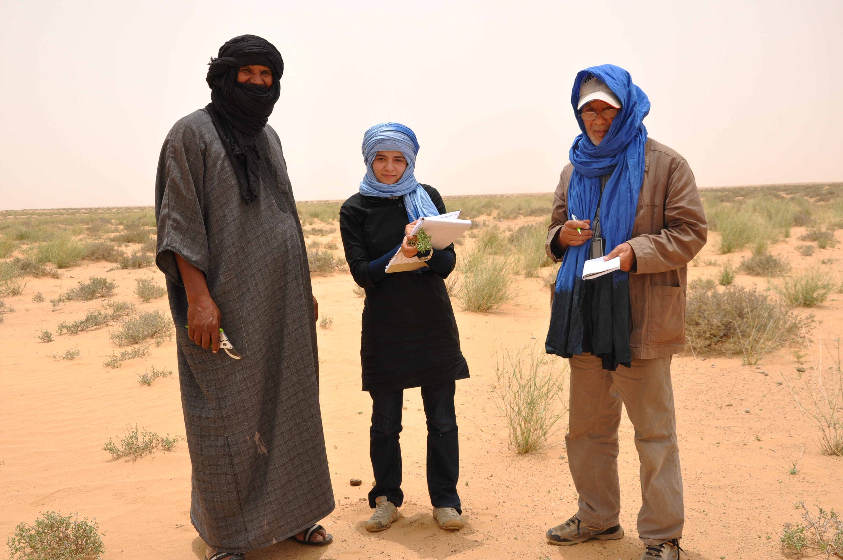 Etude d’aménagement des parcours de la zone d’action de la Direction Régionale de l’Agriculture d’Oued Eddahab Lagouira