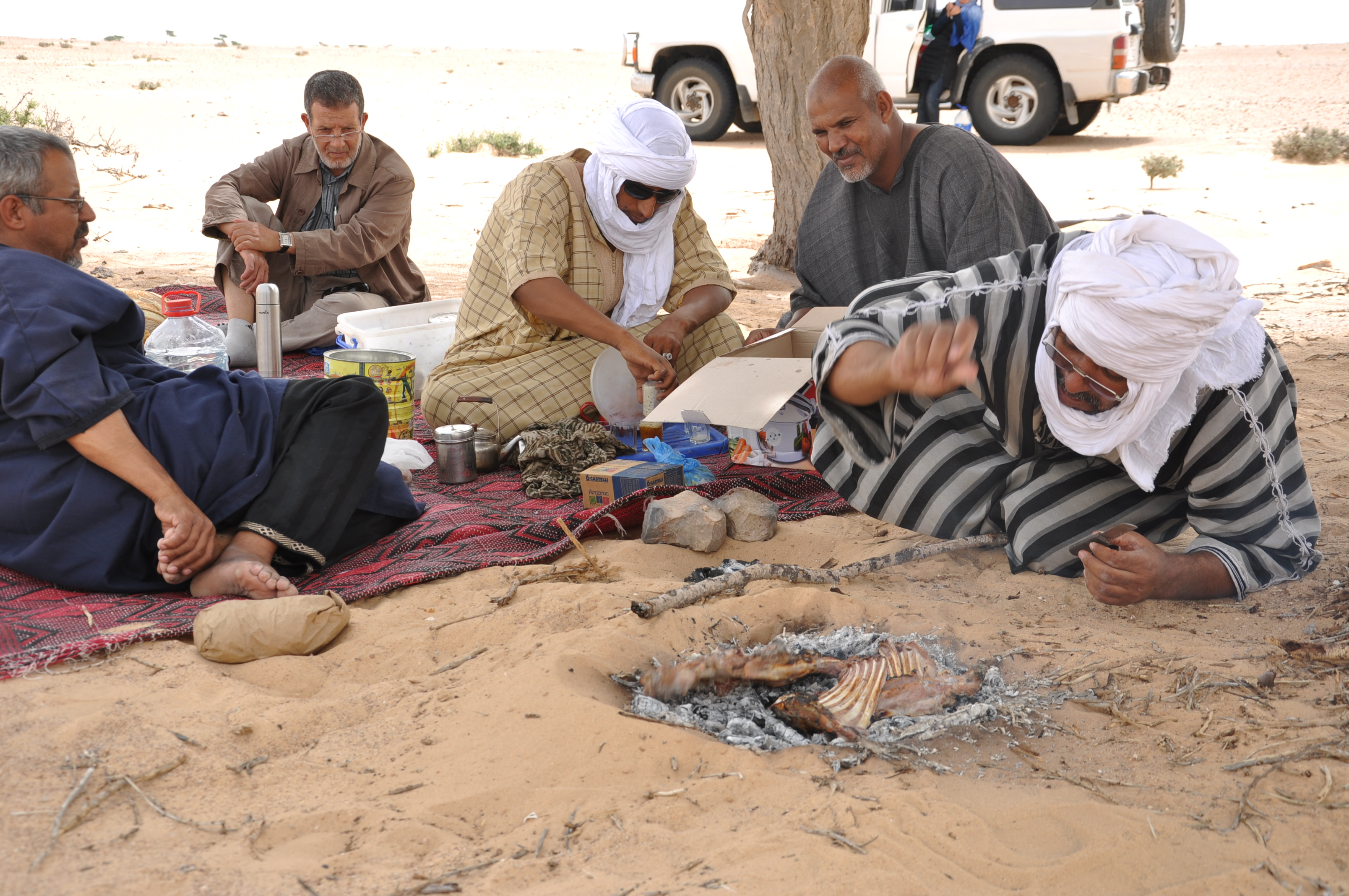 Etude d’aménagement des parcours de la zone d’action de la Direction Régionale de l’Agriculture d’Oued Eddahab Lagouira