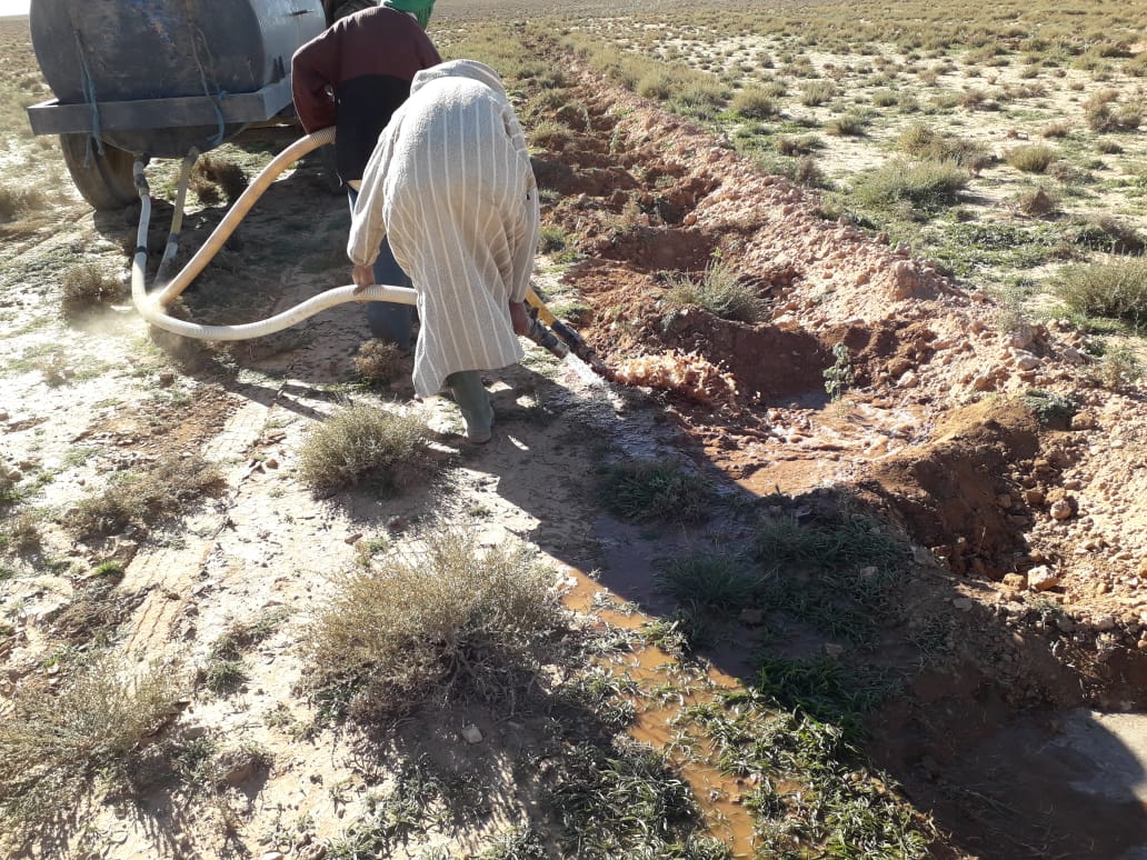Assistance technique pour la supervision, le suivi et le contrôle des travaux relatifs au marché de plantation d’arbustes fourragers au niveau de la Province d'Errachidia