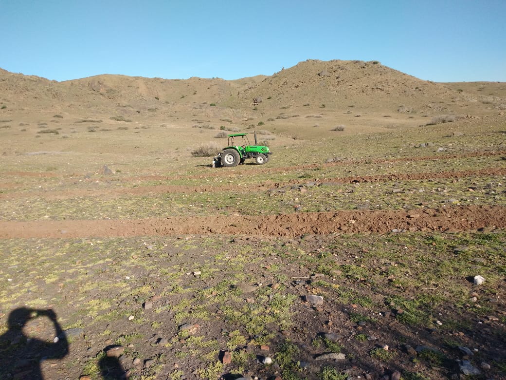 Assistance technique pour la supervision des travaux de plantation de 400 ha d’Atriplex Nummularia dans les communes rurales de la Province de Rhamna