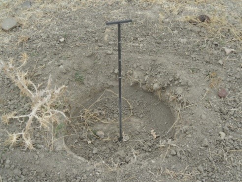  Assistance technique pour le suivi des travaux de plantation dans la zone de l’Office Régional de Mise en Valeur Agricole du Loukkos 