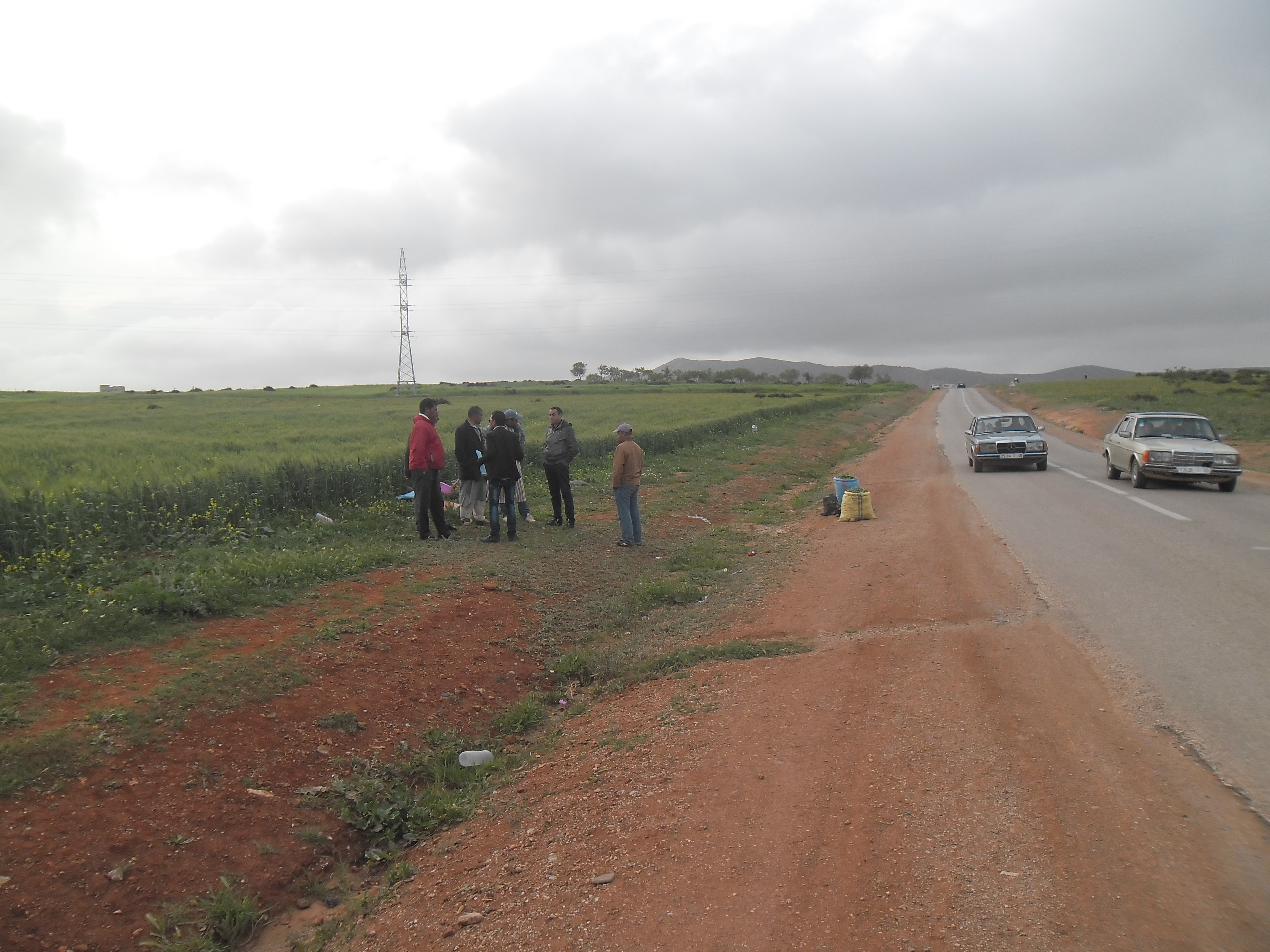 Assistance technique pour la caractérisation et labellisation du Petit Pois d’Aït kamra en tant que produit de terroir dans la province d’Al Hoceima.