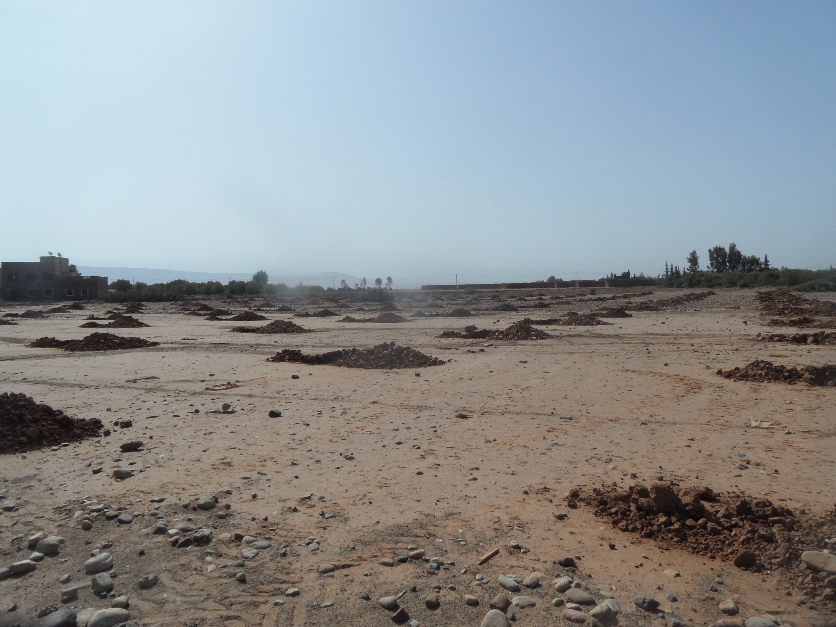 Assistance technique pour la supervision des travaux de plantation d'olivier sur une superficie de 600 Ha dans les communes rurales  (Ait Ourir, Ait Sidi Daoud et Ait Faska) au niveau de la province d'Al Houz.