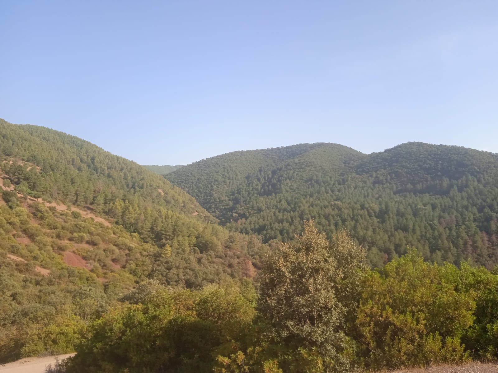  Assistance de la Direction Régionale de l’Agriculture de l’Oriental pour la réalisation de l’enquête élevage 2ème passage de l’année 2021 dans la région d’oriental en Lot unique.