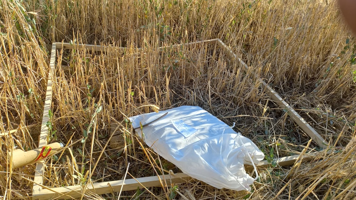 Réalisation de l’enquête rendement objectif communal de l’année 2022 au profit de la direction régionale de l’agriculture de Tanger- Tétouan- Al Hoceima en lot unique.