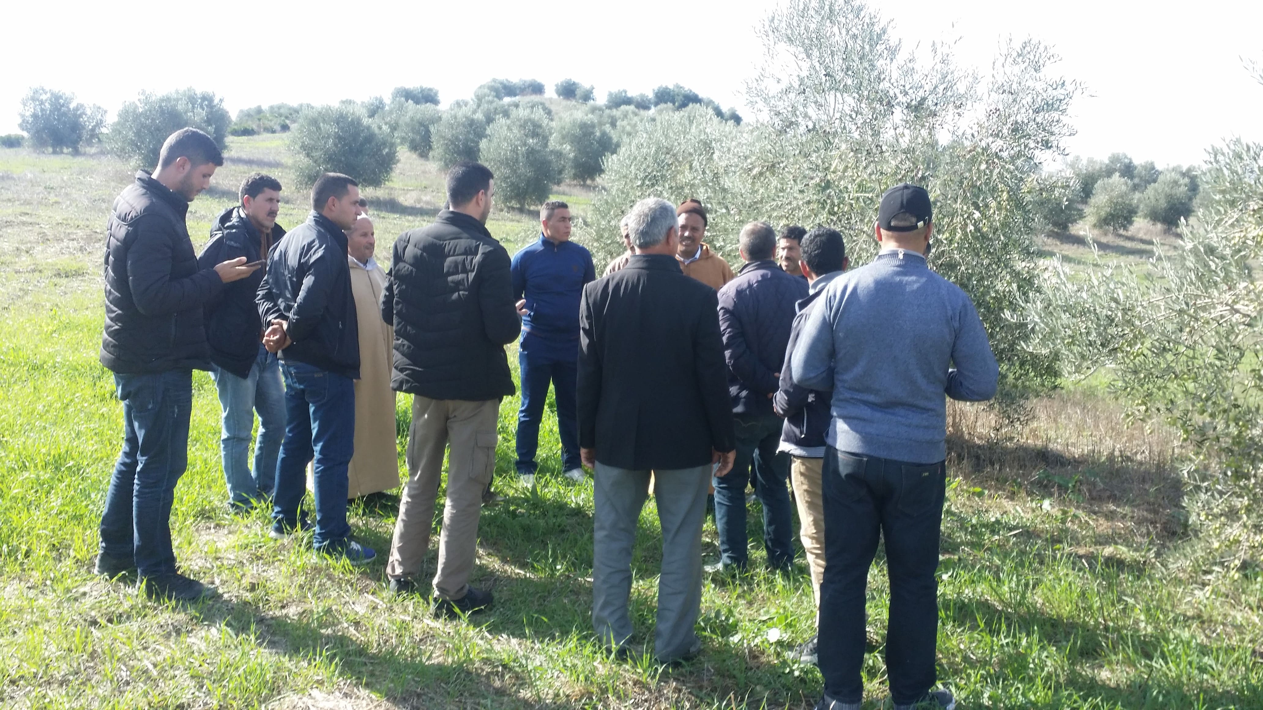Formation pratiques (voyages d’études) au profit agriculteurs relevant de la zone d’action de la DPA de Fès dans le cadre des projets pilier II.