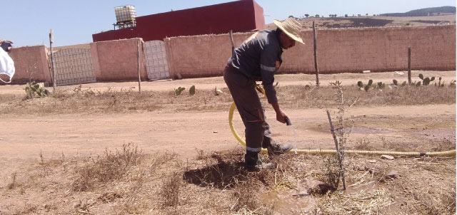 Assistance technique pour les travaux de plantation de 100 ha d'Olivier dans la commune de Sidi Yahya Zear préfecture de   Skhirat-Temara