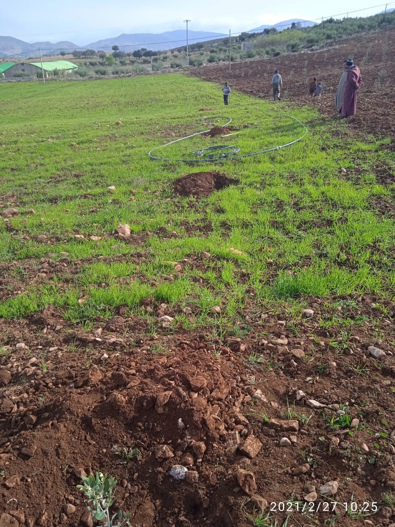 Assistance technique pour la supervision, le suivi et le contrôle des travaux de plantation d'olivier sur une superficie de 400 ha, au niveau des périmètres relevant du Cercle d’El Menzel, Province de Sefrou