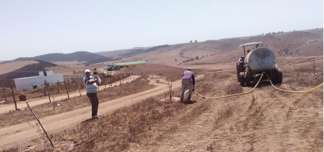 Assistance technique pour les travaux de plantation de 100 ha d'Olivier dans la commune de Sidi Yahya Zear préfecture de   Skhirat-Temara