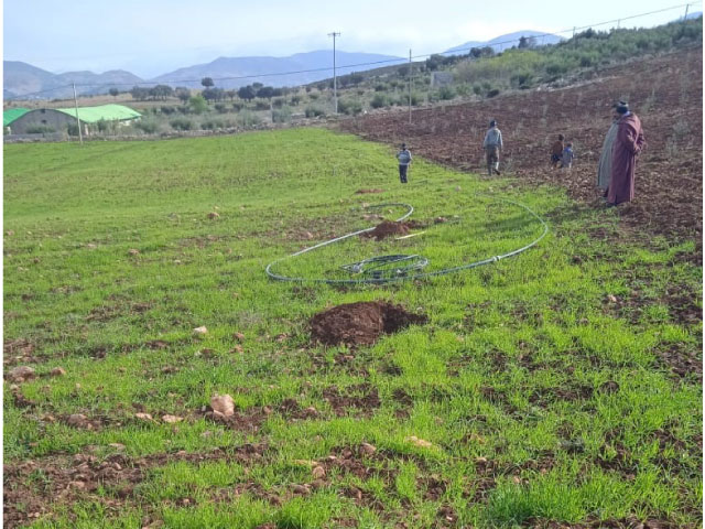 Assistance technique pour la supervision, le suivi et le contrôle des travaux de plantation d’olivier sur une superficie de 130 ha, au niveau des périmètres relevant des cercles d’El Menzel, et d’Imouzzer Kandar Province de Séfrou