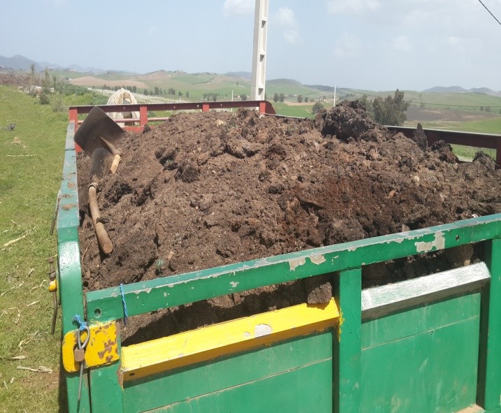 Assistance technique pour le suivi des travaux de plantation de Pommier et l’accompagnement des groupements des bénéficiaires sur une superficie de 50 ha dans la Commune Rurale d’Oulmès relevant de la zone d’action de la Direction Provinciale de l’Agriculture de Khemisset