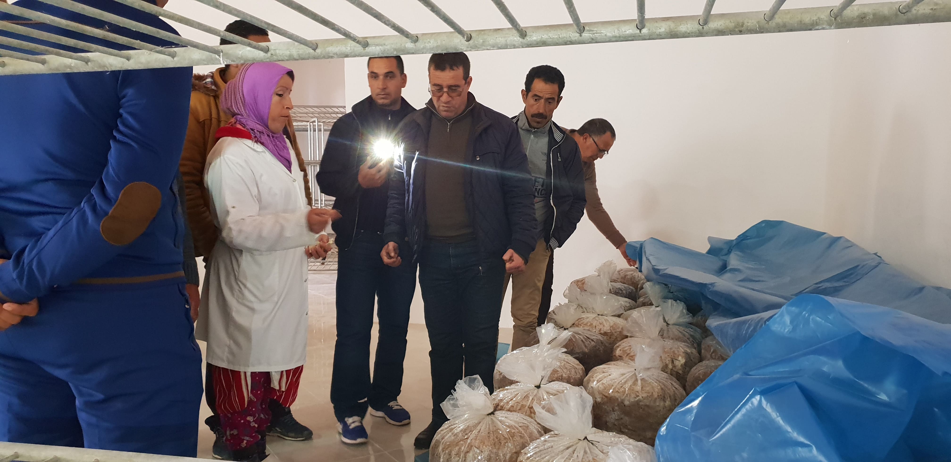 Formation pratiques (voyages d’études) au profit agriculteurs relevant de la zone d’action de la DPA de Fès dans le cadre des projets pilier II.