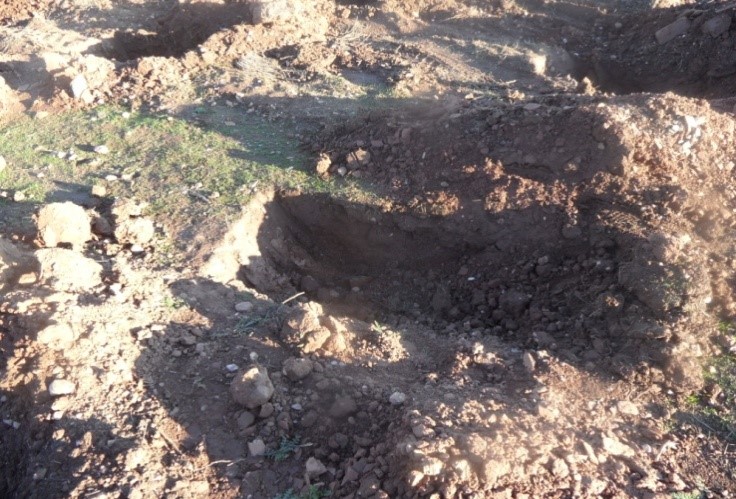 Assistance technique pour le suivi des travaux de plantation de Pommier et l’accompagnement des groupements des bénéficiaires sur une superficie de 50 ha dans la Commune Rurale d’Oulmès relevant de la zone d’action de la Direction Provinciale de l’Agriculture de Khemisset