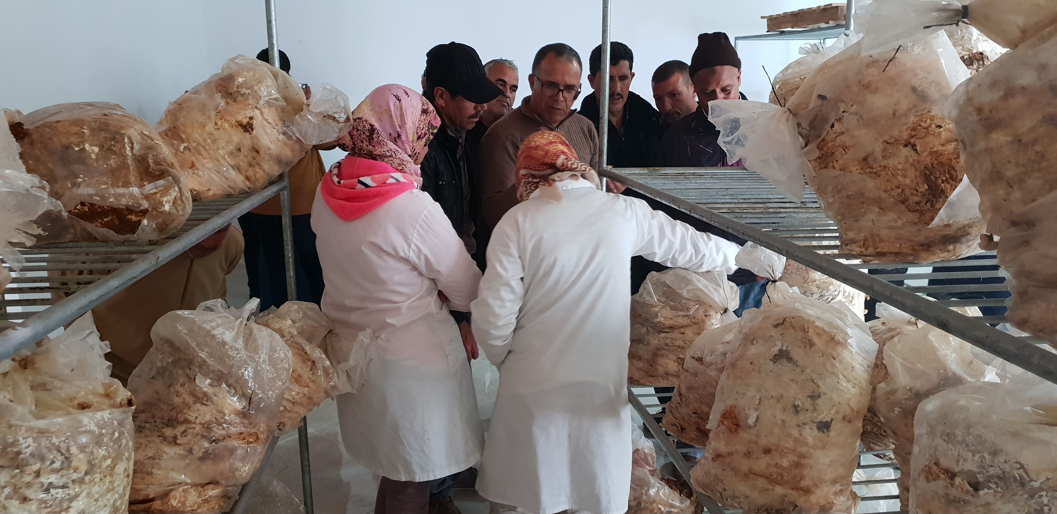 Formation pratiques (voyages d’études) au profit agriculteurs relevant de la zone d’action de la DPA de Fès dans le cadre des projets pilier II.
