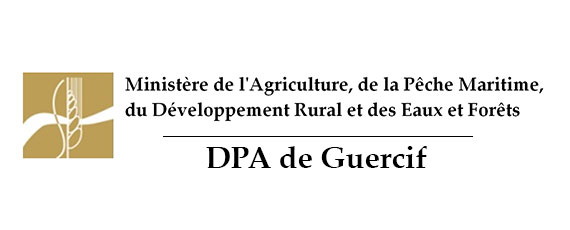 DPA de Guercif